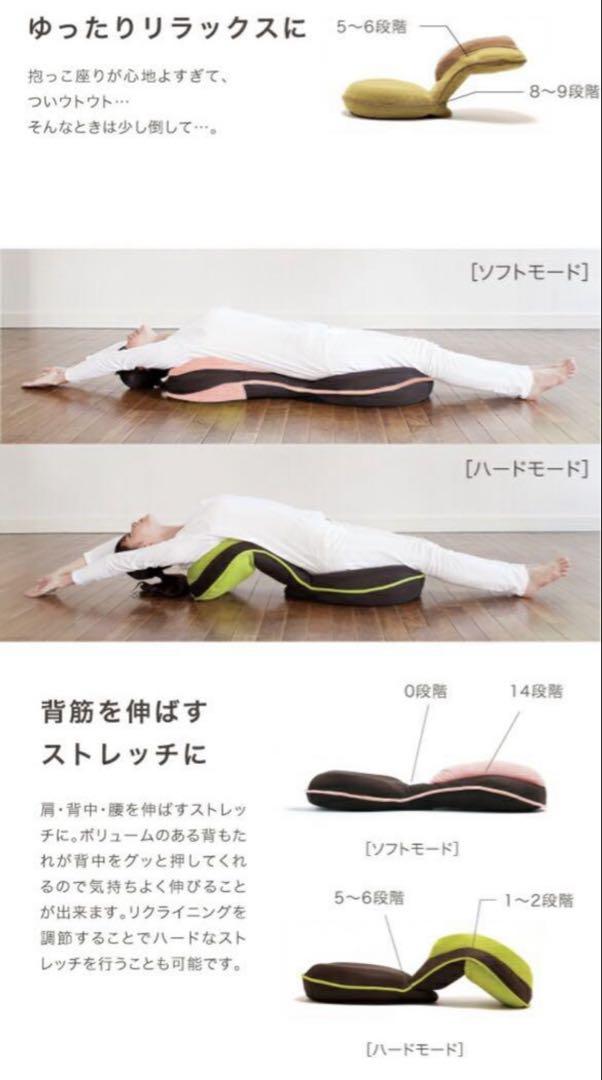 ２つセットPROIDEA プロイデア背筋がGUUUN美姿勢座椅子　骨盤矯正