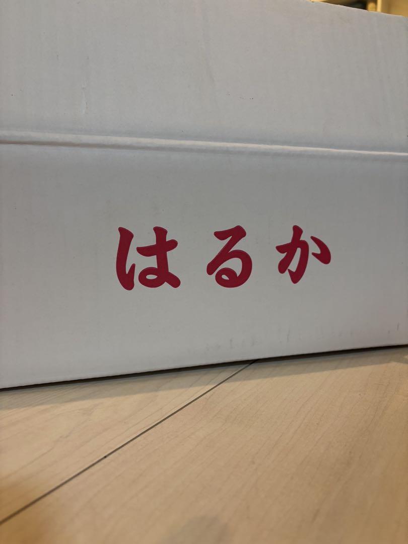 はるか　秀品　箱の重さ抜きで10kg 大分県産