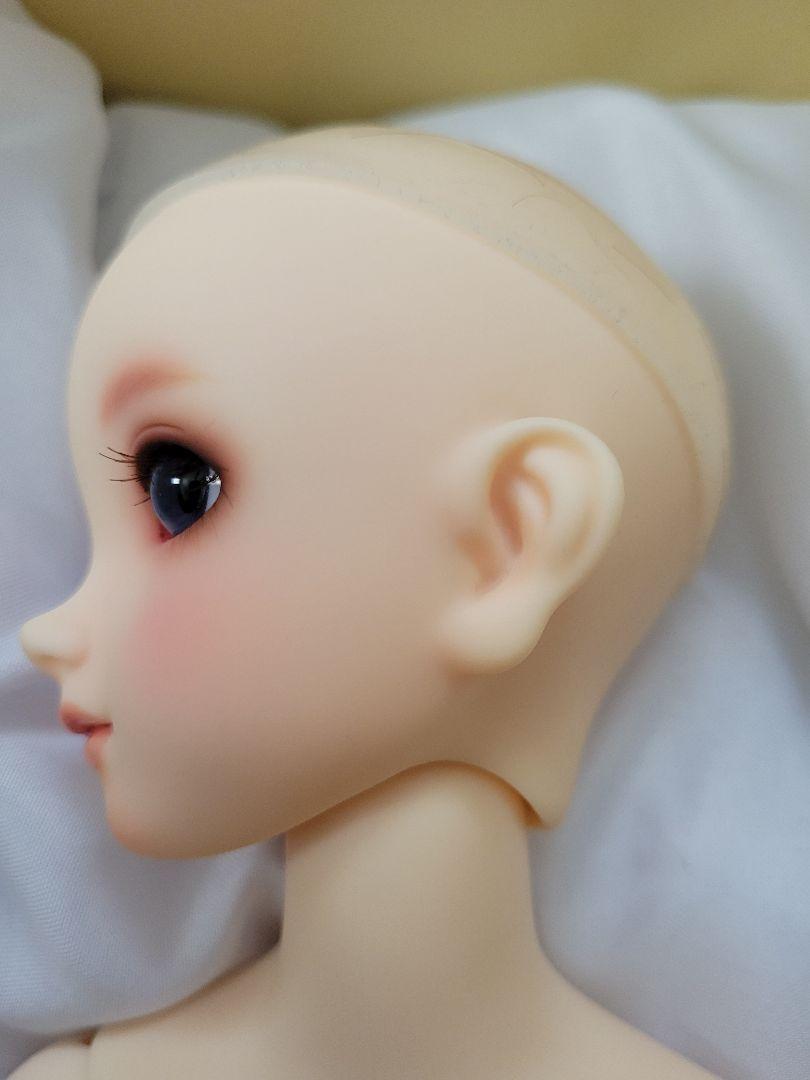 ボークス スタンダード_ひな 画像4