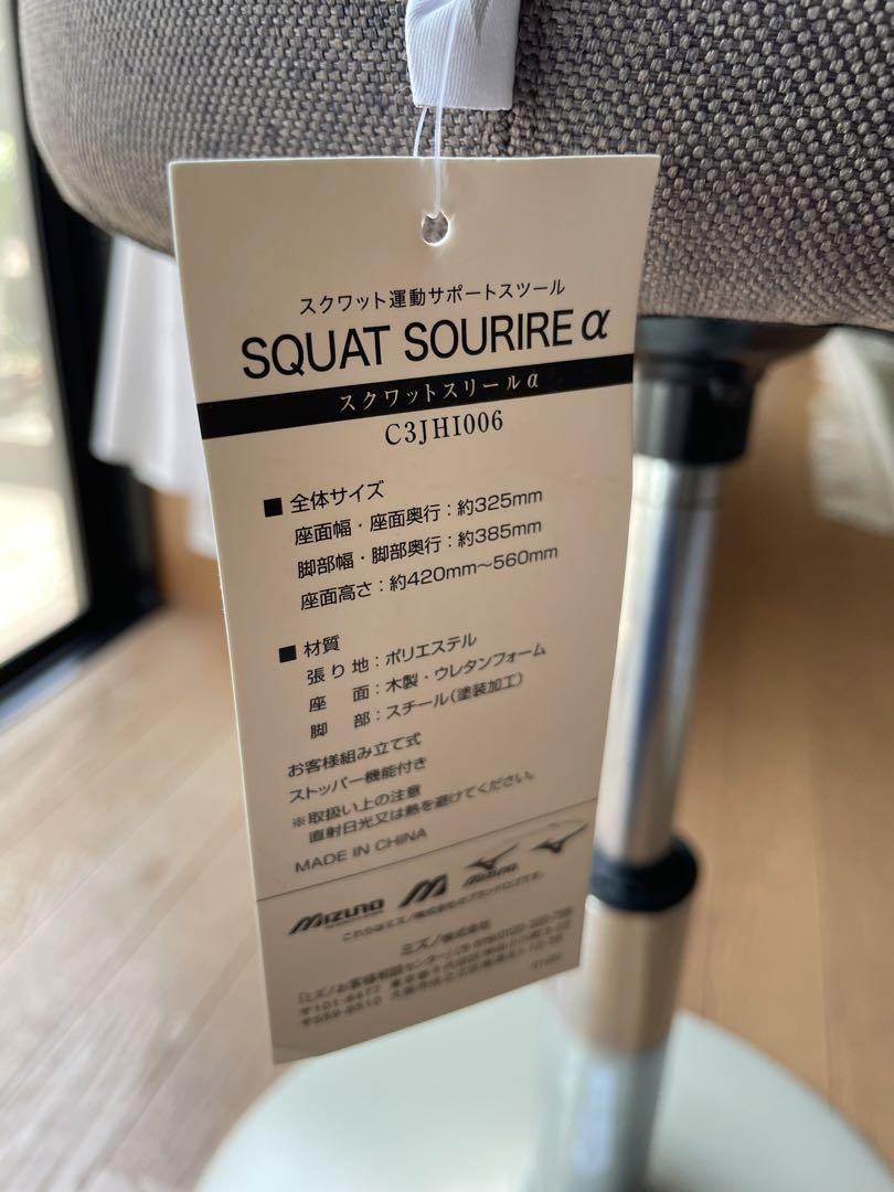 超格安一点 MIZUNOミズノ スクワットスリールα 北欧風カバー付 ブラウン ミュージック