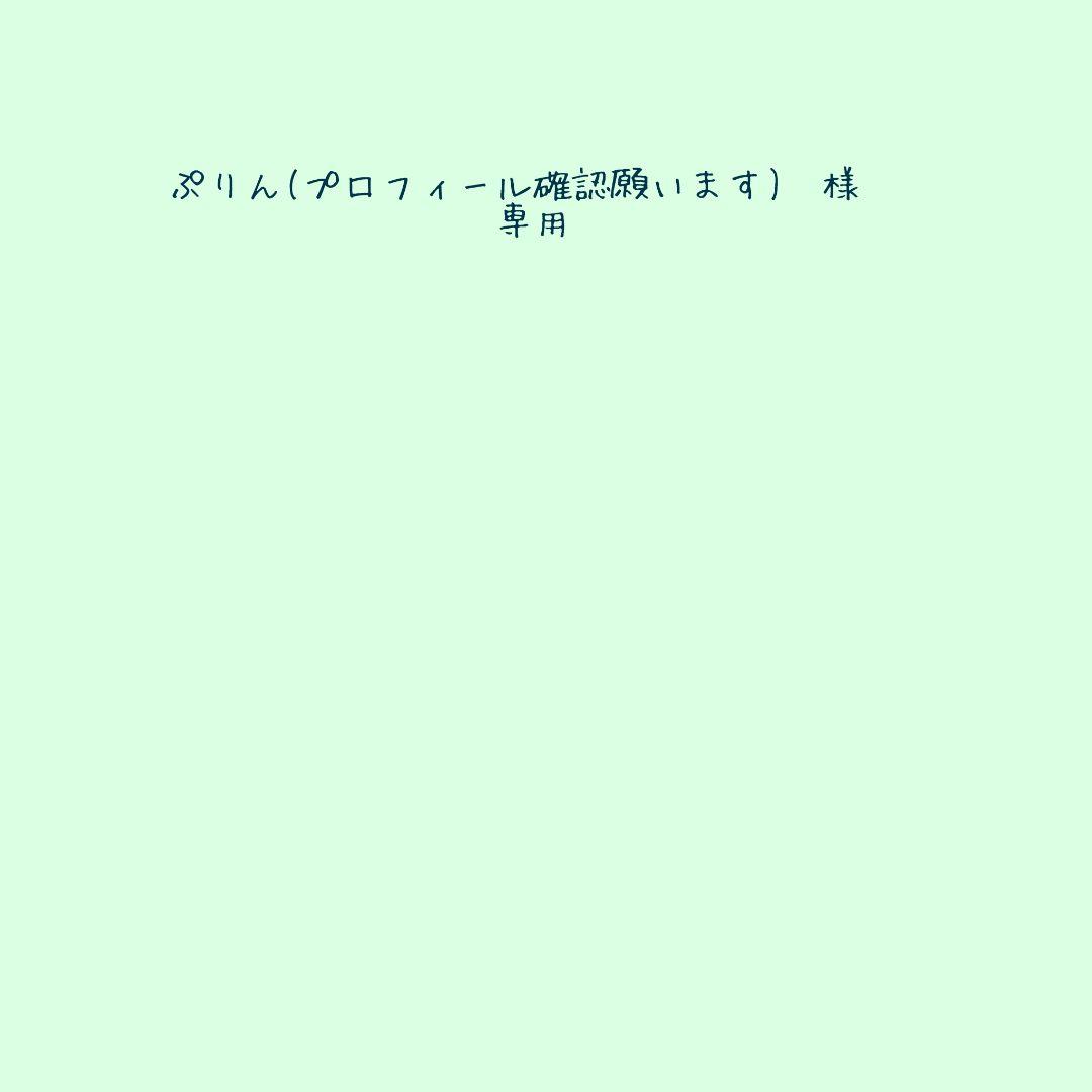 【ぷりん(プロフィール確認願います)様　専用】バカラ　バイカラー　ネイルチップ