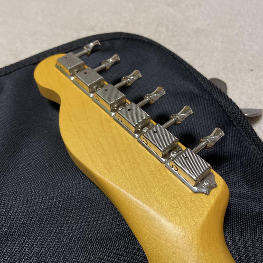 Custom Telecaster