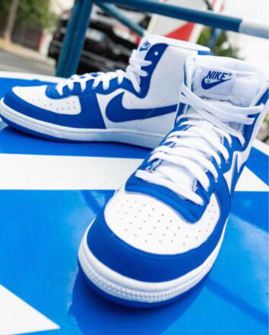 ☆ Nike Terminator HIGH ☆