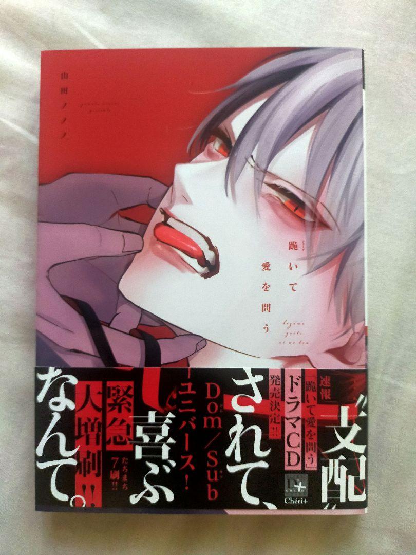 山田ノノノ 跪いて愛を問う 手を伸ばしたら、つばさ 2冊セット