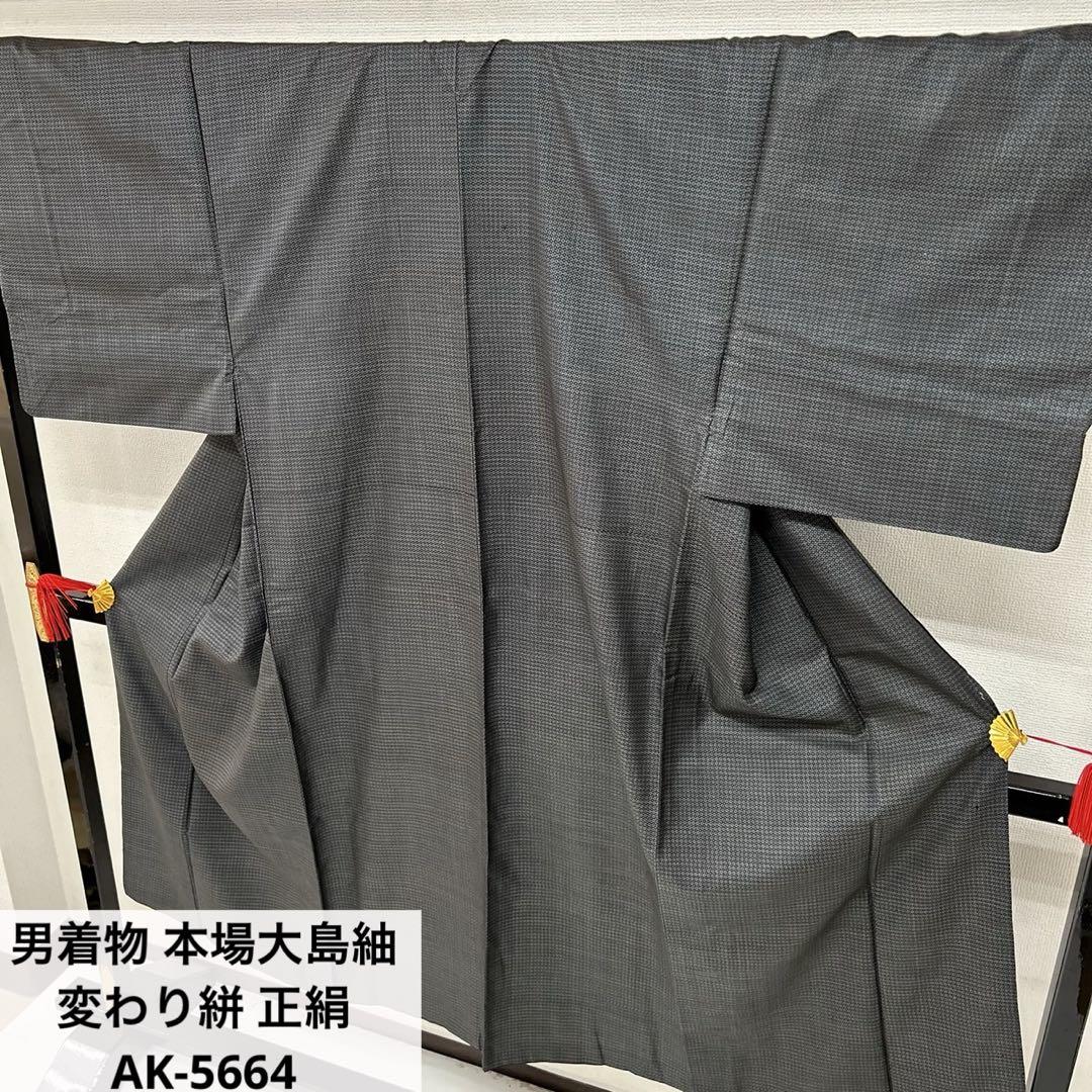 男着物 本場大島紬 変わり絣 正絹 AK-5664