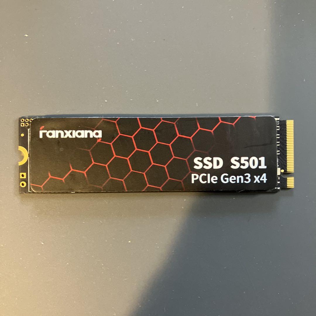 ranxiana SSD 1TB S501 PCIe Gen3 x4 ジャンク