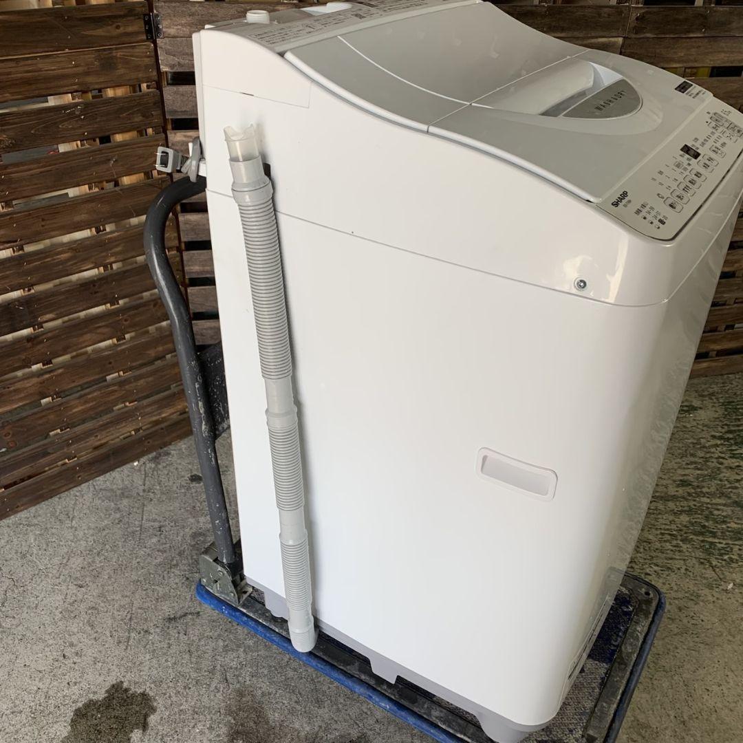 I813\" SHARP 6.5kg 洗濯機 ES-TX6H-W 2024年製