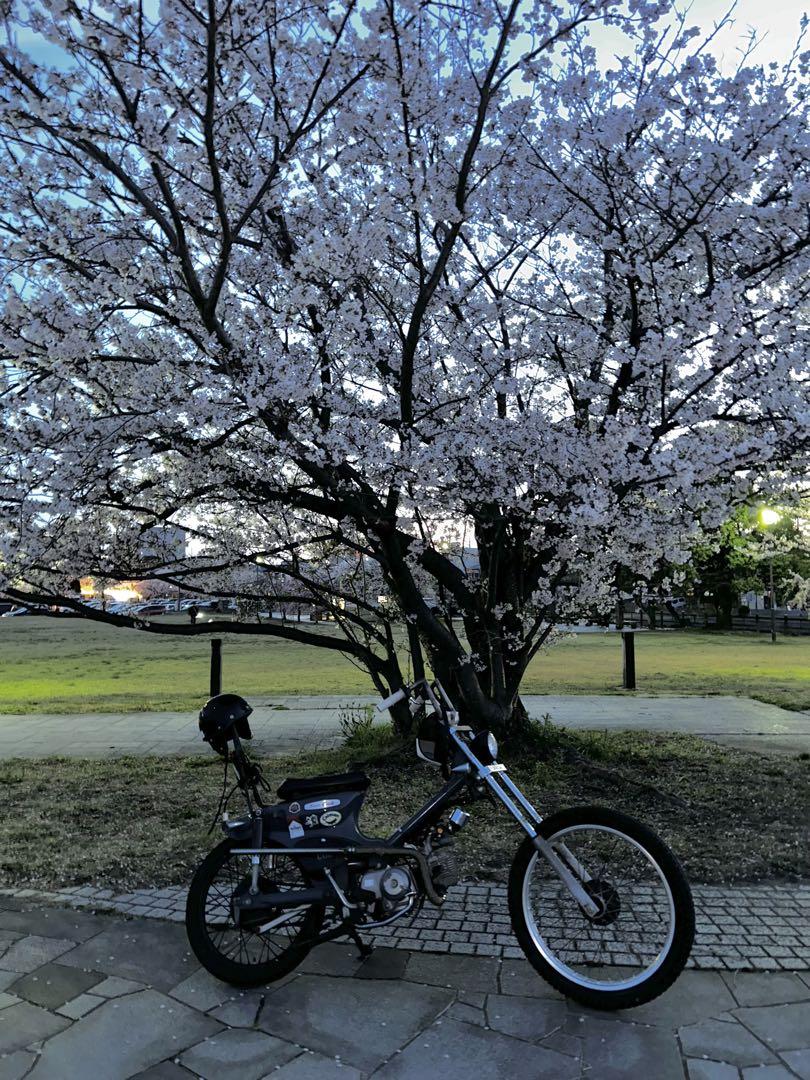 supercub50 chopper スーパーカブ50 カブチョッパー