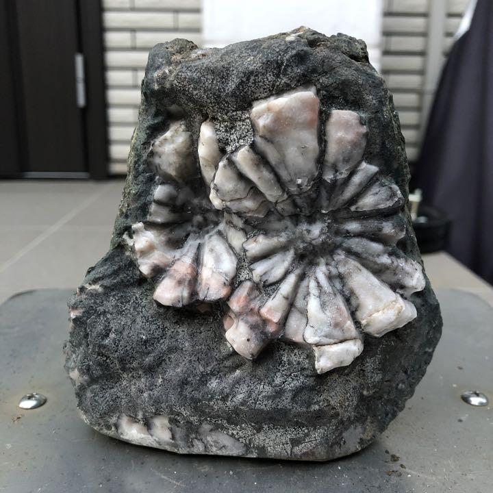 菊花石 約1.2kg