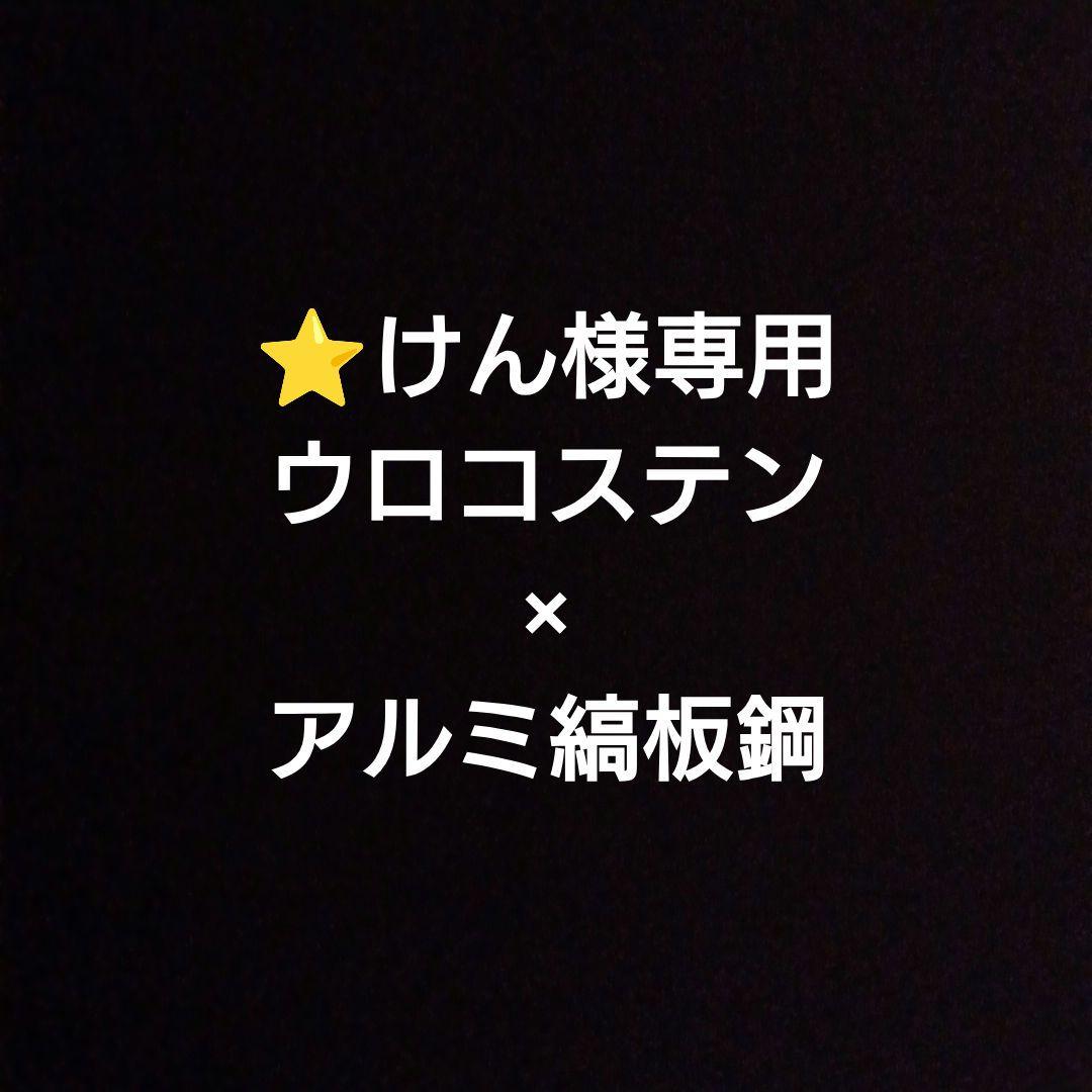 ⭐️けん　泥よけウェイト