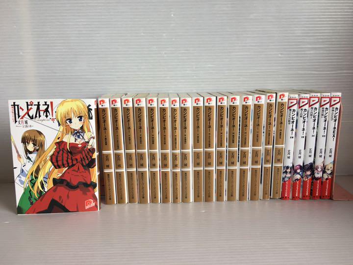 カンピオーネ 全21巻 1冊 文庫 小説 全巻 送料無料 ライトノベル メルカリ