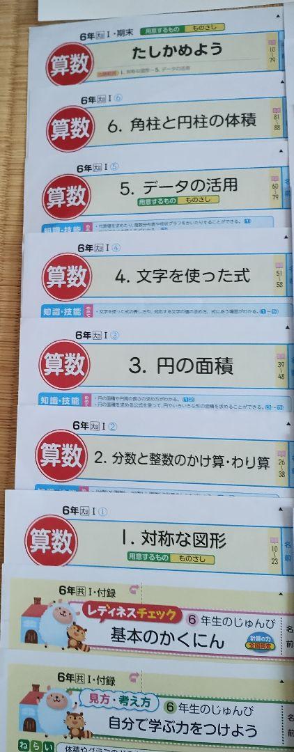 カラーテスト 算数 6年生 大日本図書 ぶんけい
