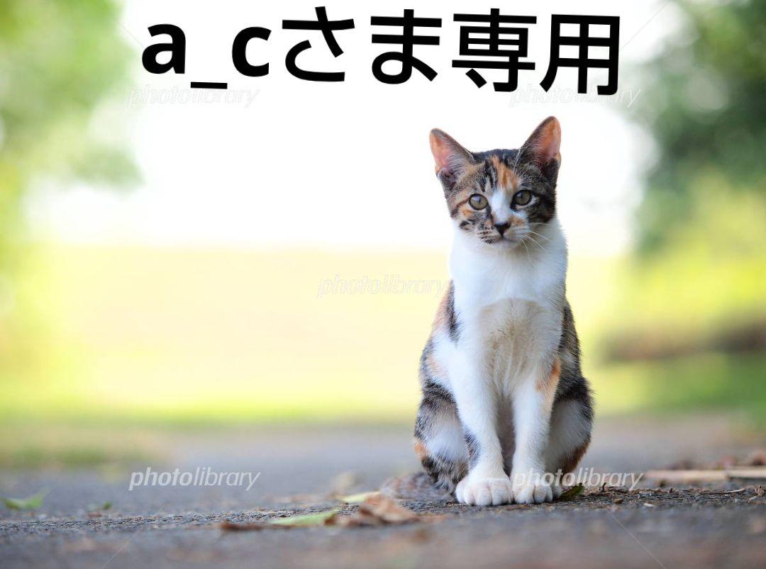 a_cさま専用♪