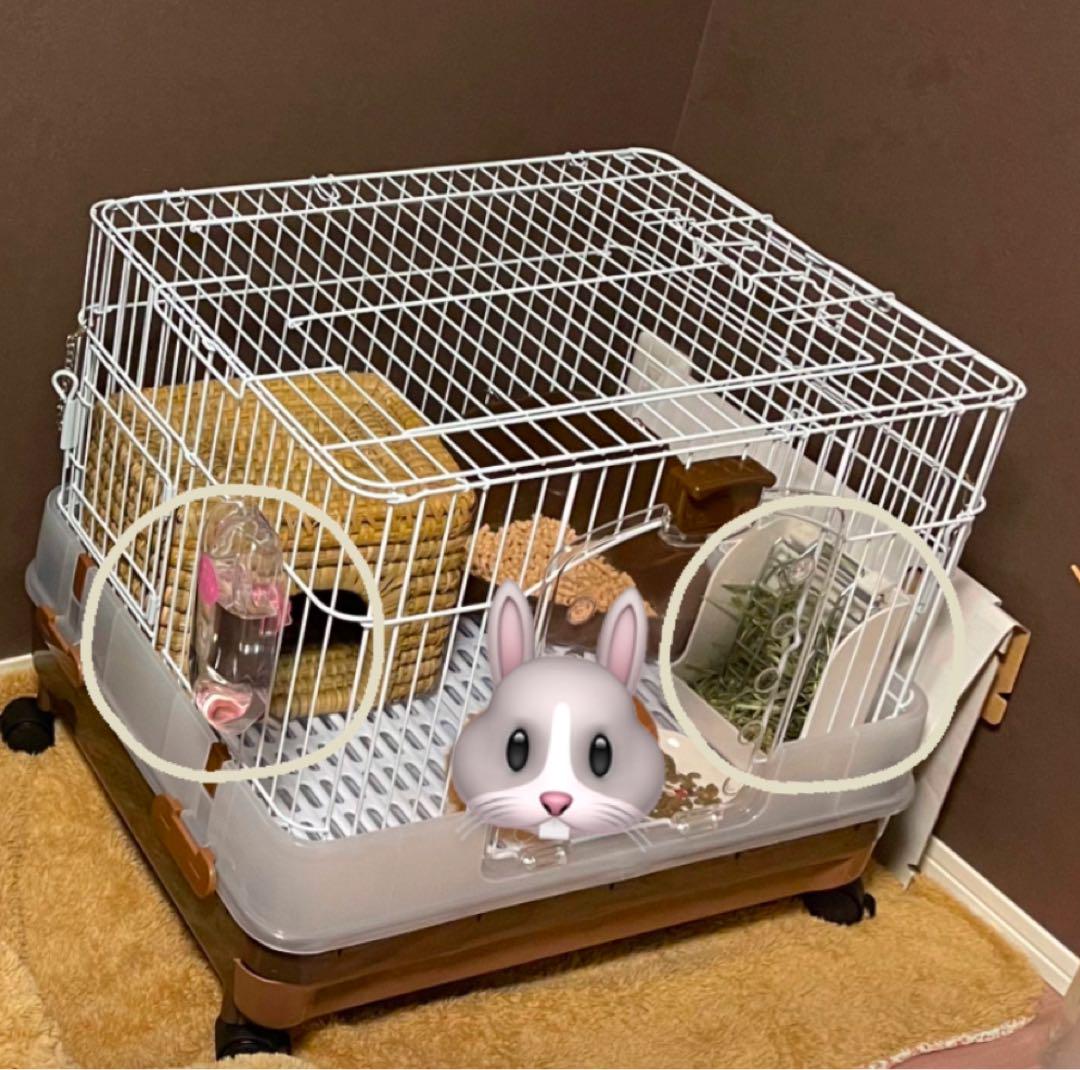 うさぎ　ゲージ