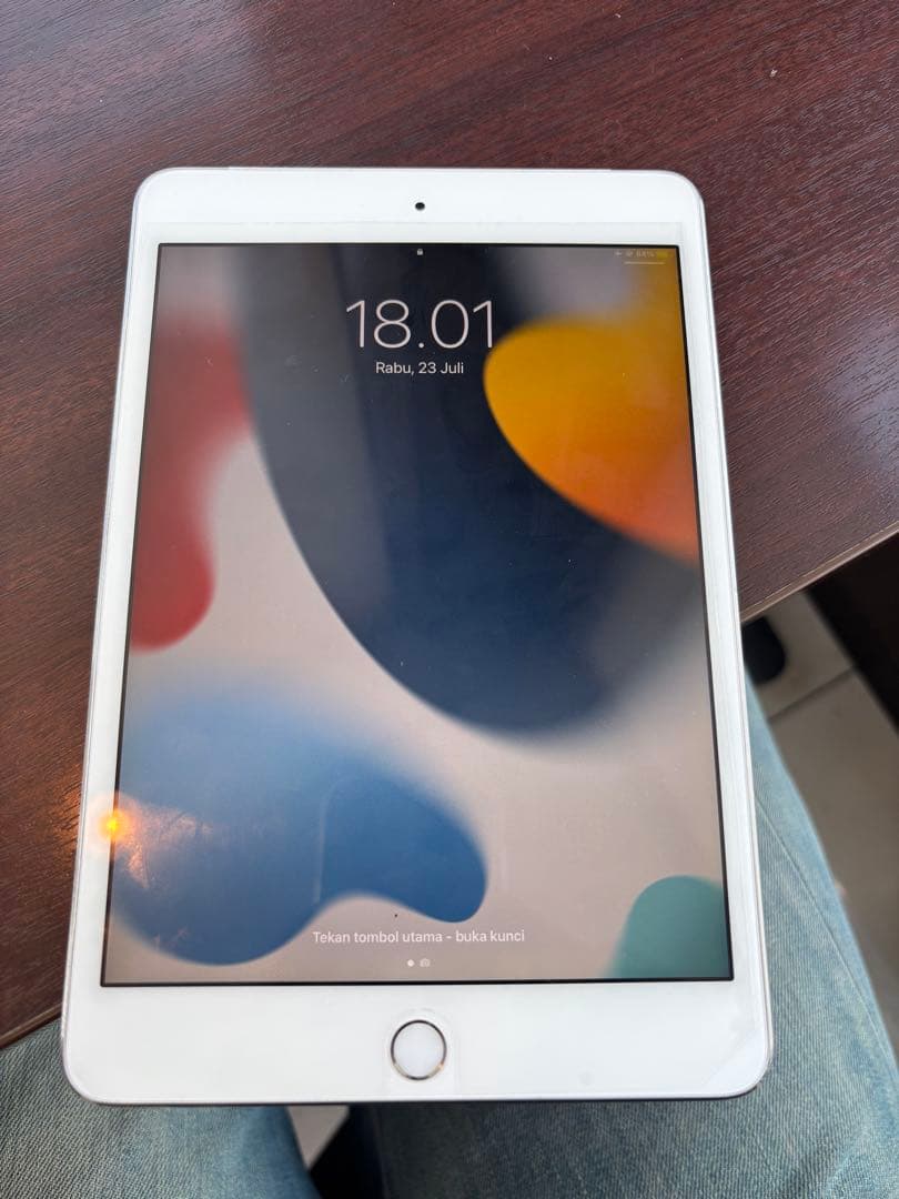 Ipad mini 4