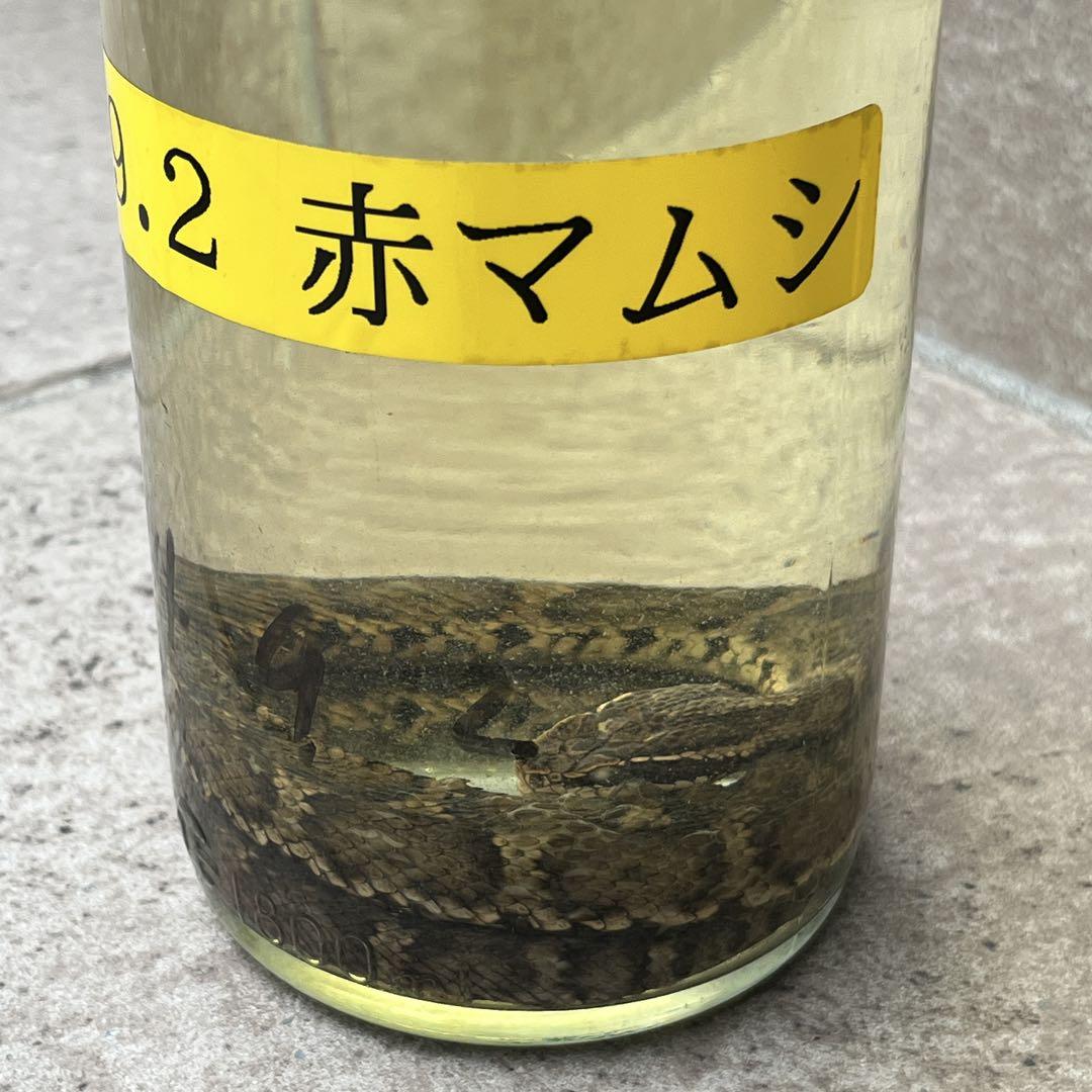 まむし焼酎　自家製　一升びん まむし焼酎 自家製 一升びん 度数45度 - メルカリ