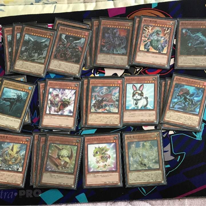 メルカリ 恐竜真竜竜星 デッキ 新制限改訂対応 遊戯王