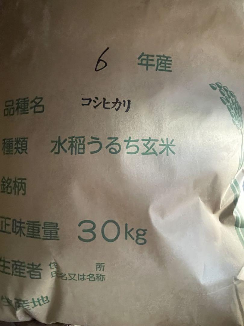 【引取り限定:埼玉県松伏町】令和6年度『コシヒカリ』玄米30kg 新米