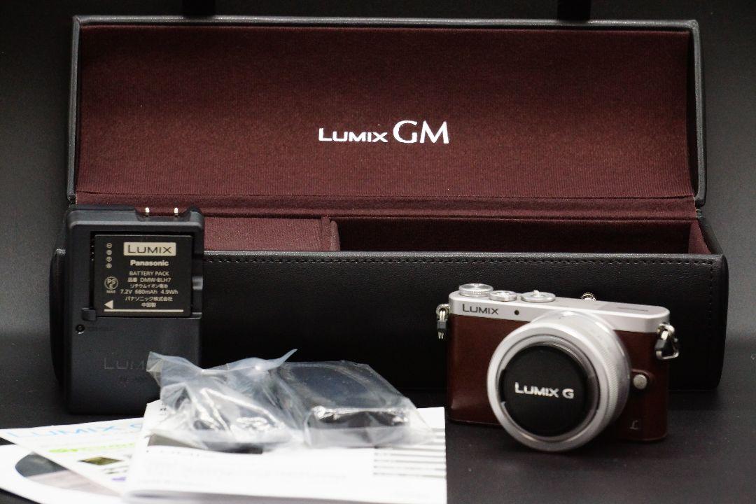 Panasonic lumix dmc-gm1s コレクションケース付