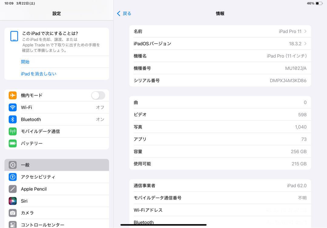 11インチ