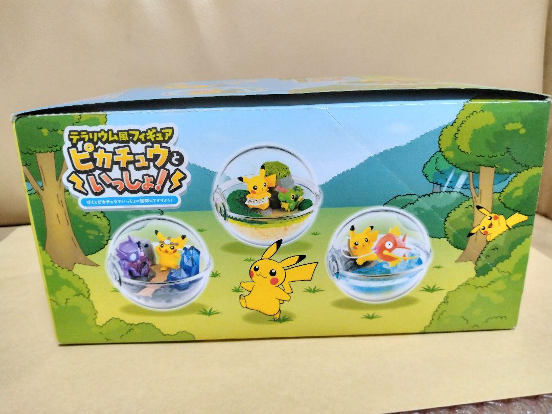 ポケットモンスター　テラリウムコレクションDX　ひだまりの森のピカチュウ ポケットモンスター テラリウムコレクションDX ひだまりの森の