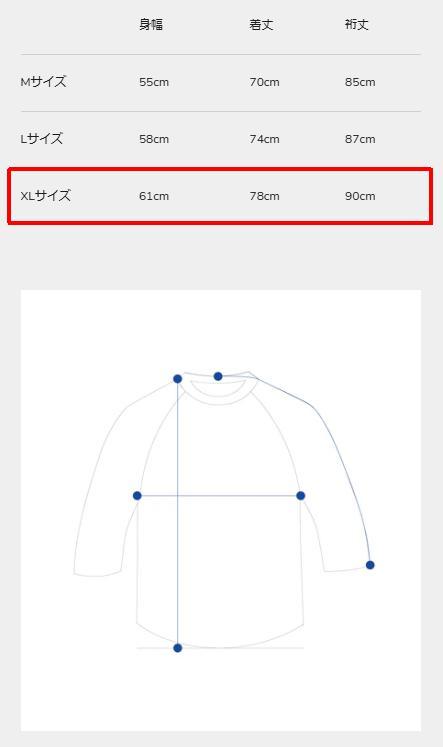 トップス applebum wtaps challenger rats