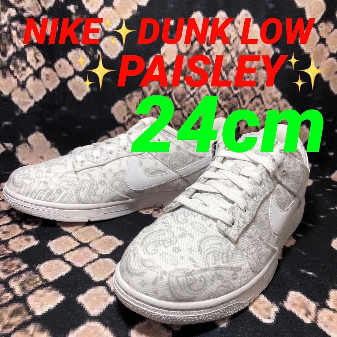 ラスト1点✨早いもの勝ち‼️NIKE DUNK LOW✨ペイズリー✨24cm