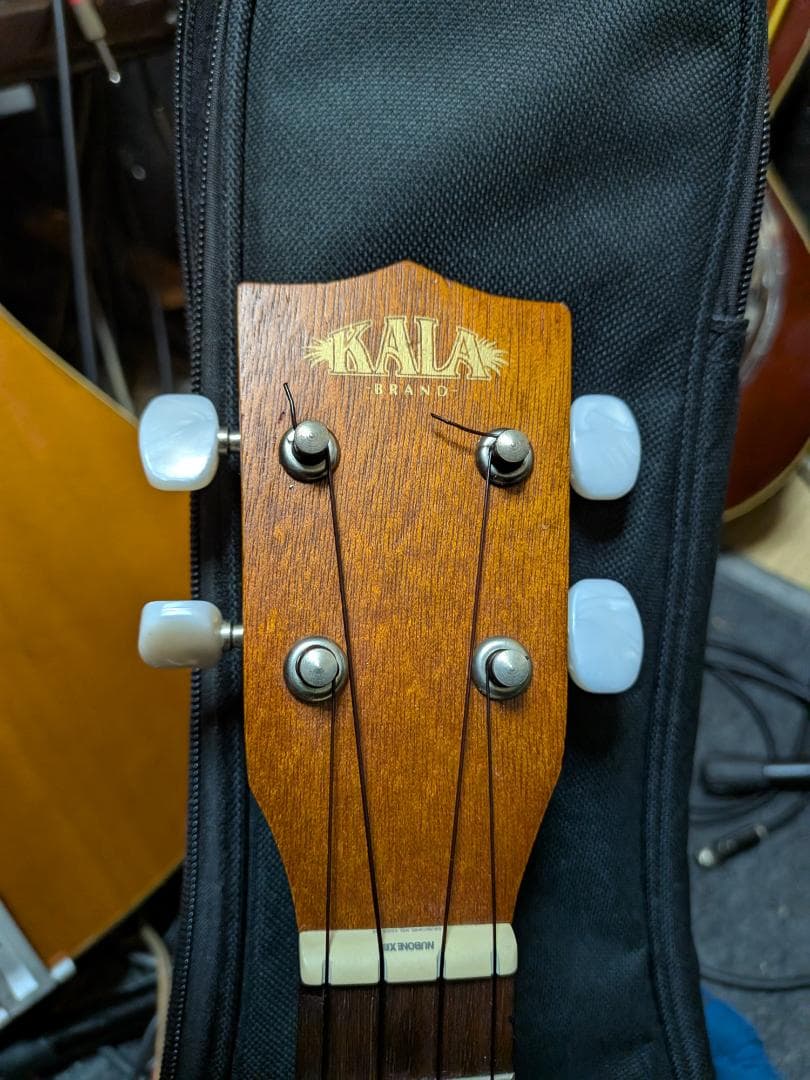 只今退院宜しく！KALA KA-P　ピエゾ　生～アンプ音7月31日動画