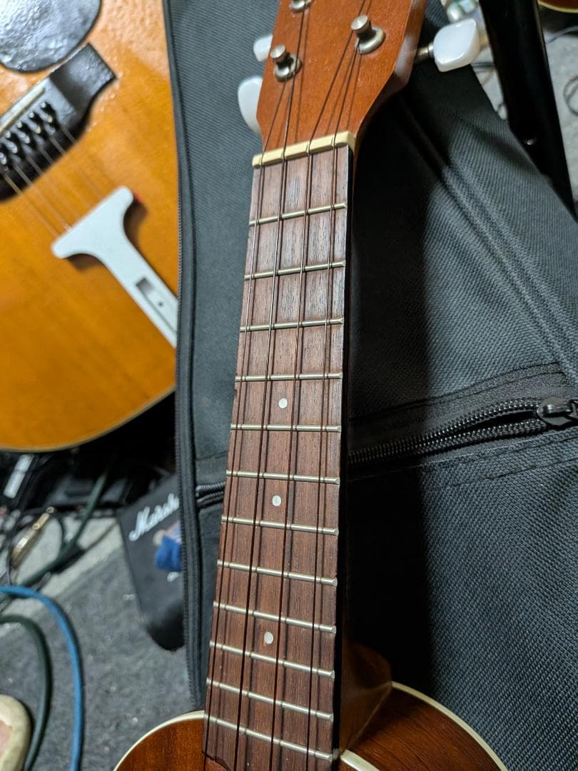 只今退院宜しく！KALA KA-P　ピエゾ　生～アンプ音7月31日動画