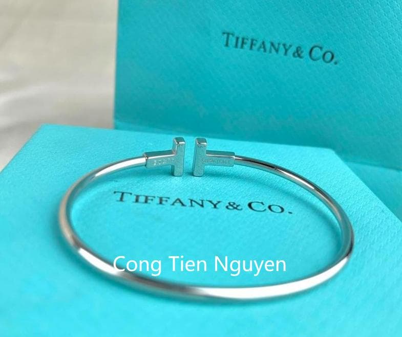 【極美品】Tiffany&Co. ティファニー T コイルバングル