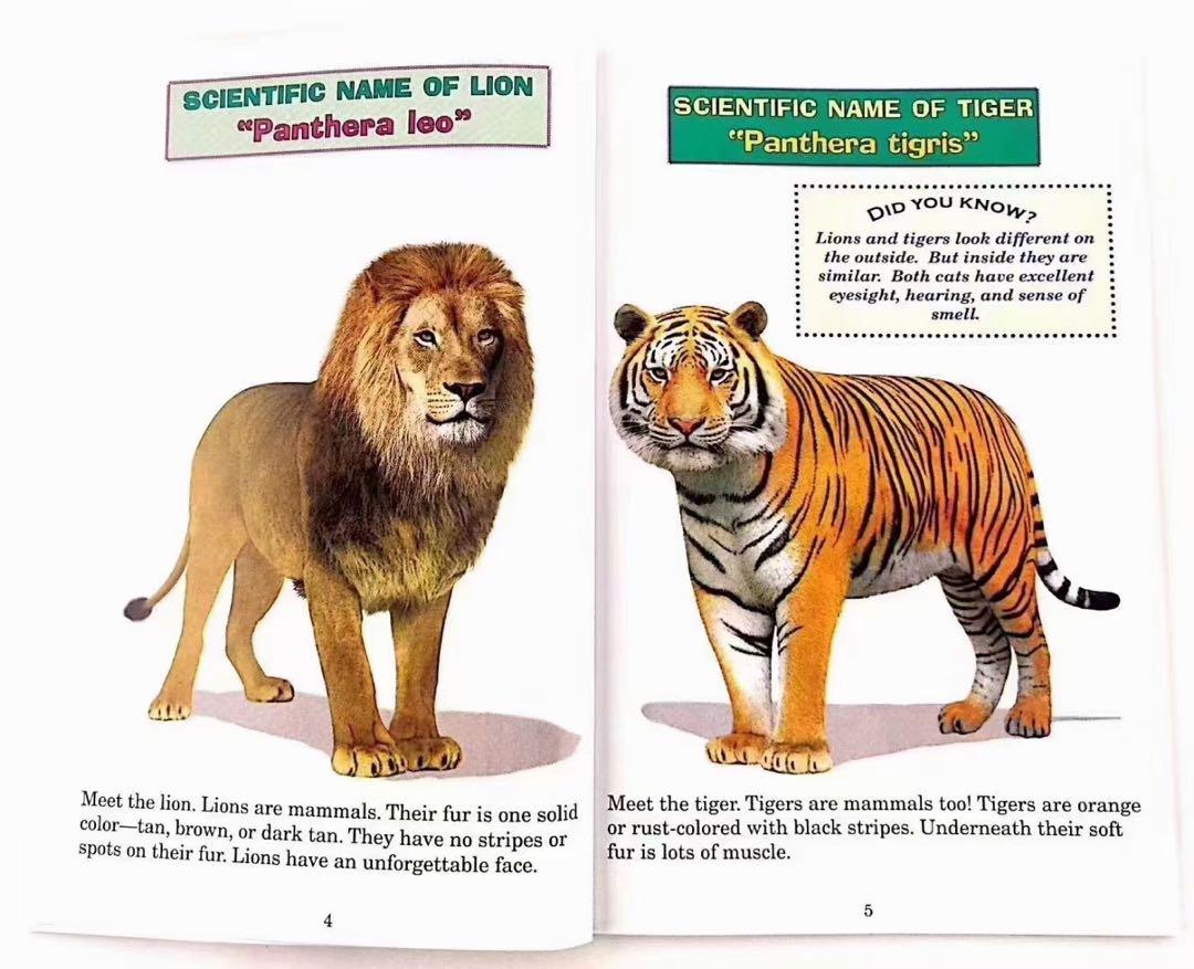 Who Would Win 絵本24冊 MaiyaPen対応 マイヤペン対応洋書 Who Would Win 絵本24冊 MaiyaPen対応 マイヤペン対応洋書