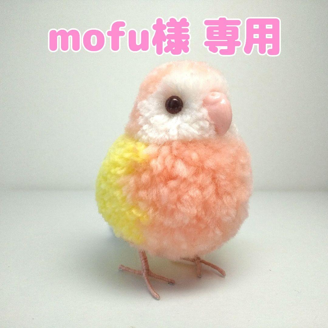 mofu様 専用ページ 小鳥ぽんぽん アキクサインコ ルチノー スーパー