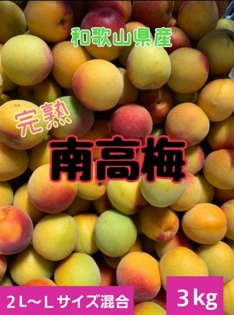 和歌山県産　完熟南高梅‼️２Ｌ～Ｌサイズ混合‼️３kg　みかんキング
