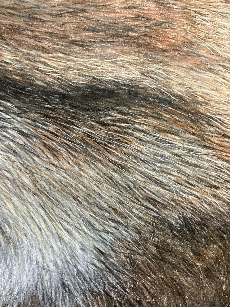 出産祝いなども豊富 hunt 色鉛筆画 パステル 絵画 絵画