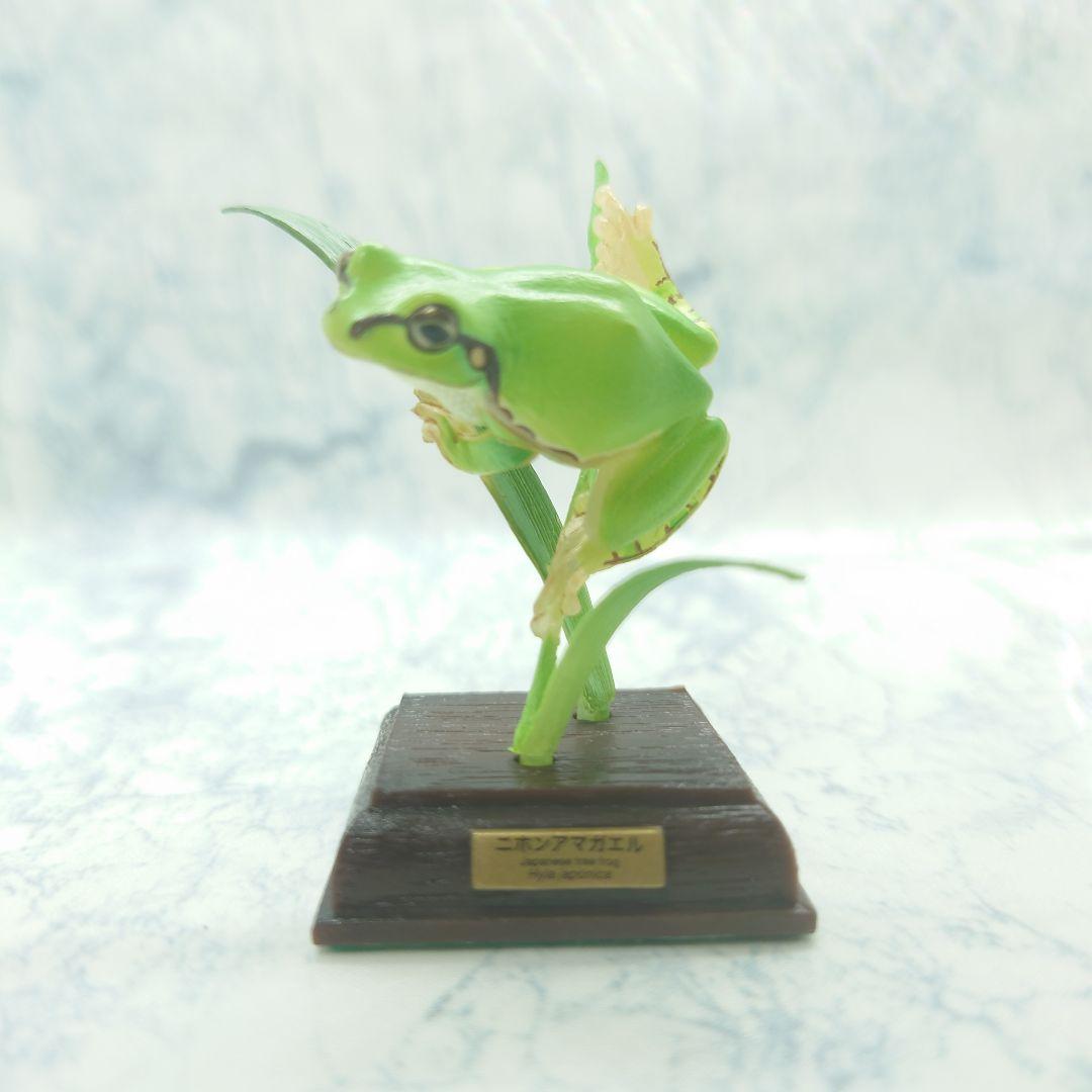 ニホンアマガエル 日本のカエル特装版 ネイチャーテクニカラー