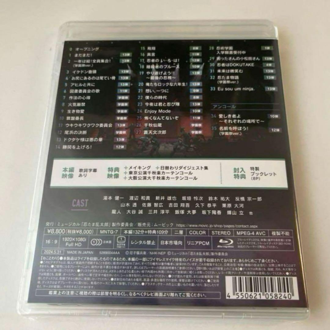 13弾
