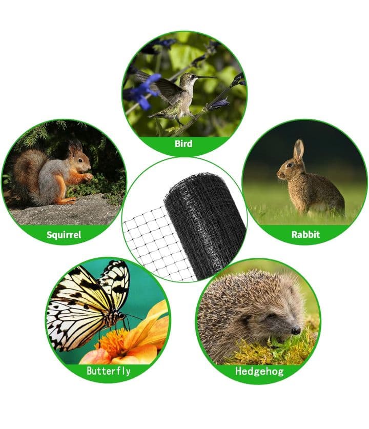 ブラック バードネット