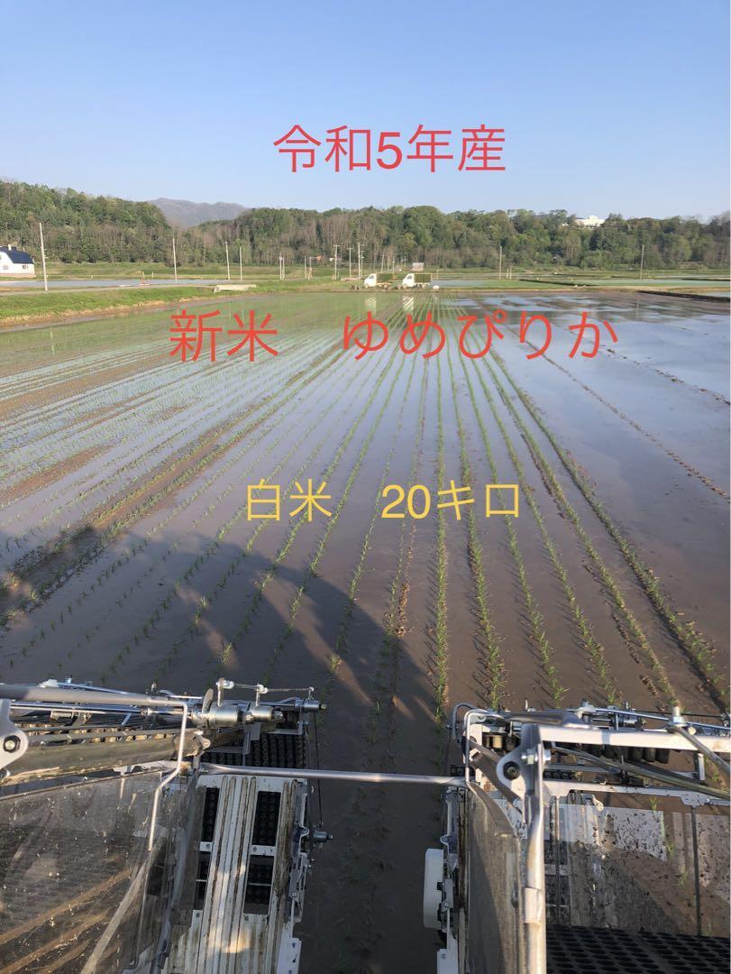 白米 20キロ