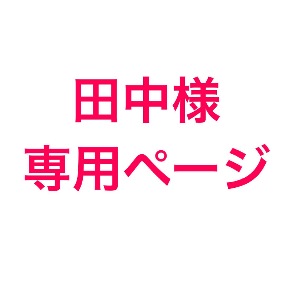 ランキングや新製品 田中様専用出品 - メルカリ その他