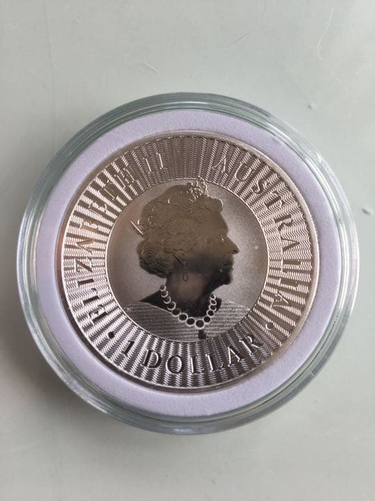 オーストラリアカンガルー銀貨2020年 10枚 | www.magicdiscoradio.com