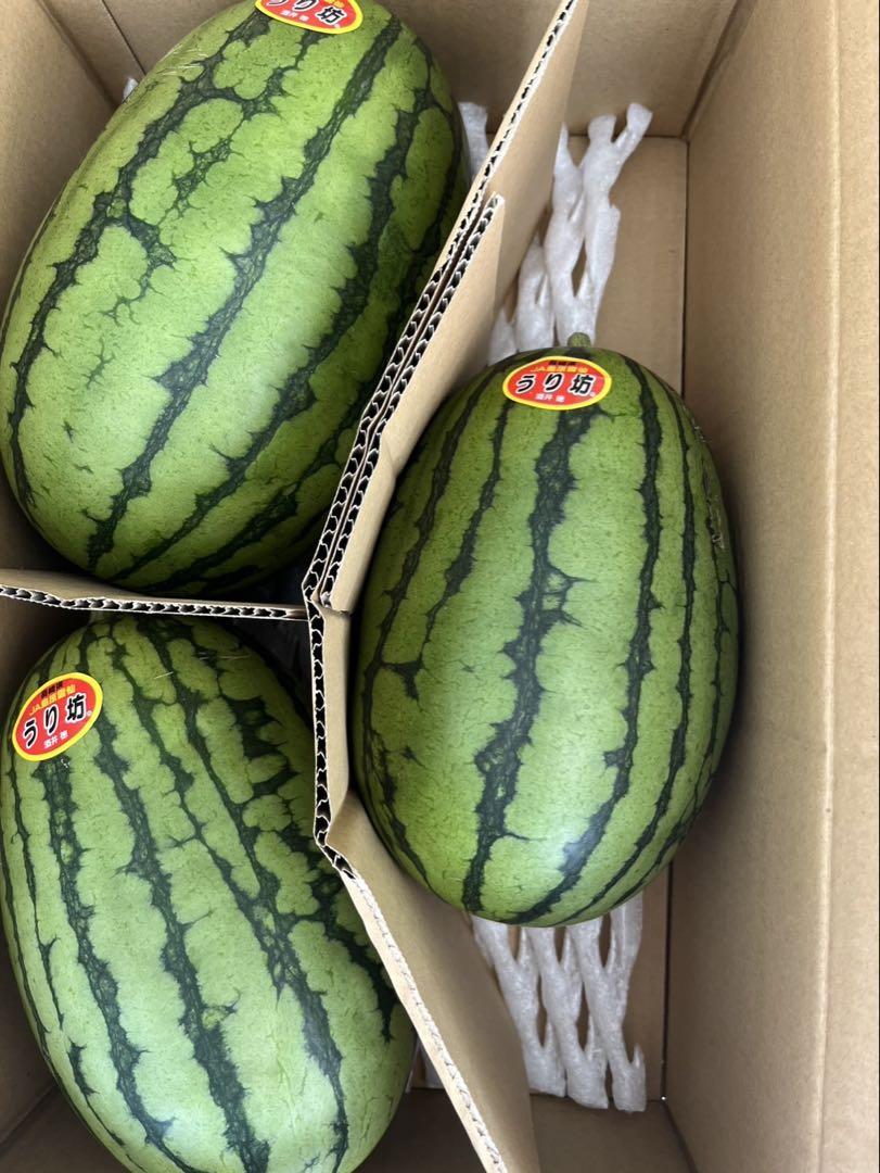 産地直送！小玉スイカうりぼう3玉入り‼️甘くて美味しい！箱込み9キロ以上