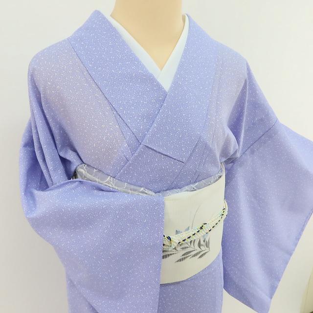 洗える夏着物 絽“夏空が解く！繊細で優美、幻想的な吹雪”小紋