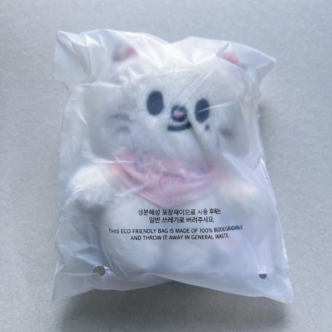 straykids 5'clock 10㎝　ぬい　コンプリート StrayKids SKZ 5'CLOCK SKZOO PLUSH 10CM Ver | eBay