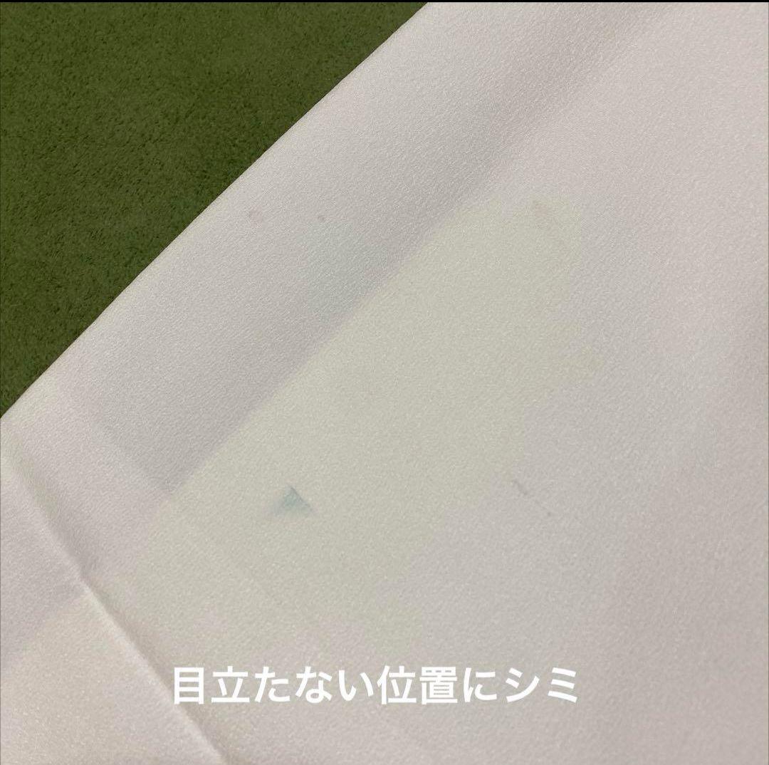 ☆洗える着物 縮緬 訪問着 着物単品 目立つ汚れなし - メルカリ