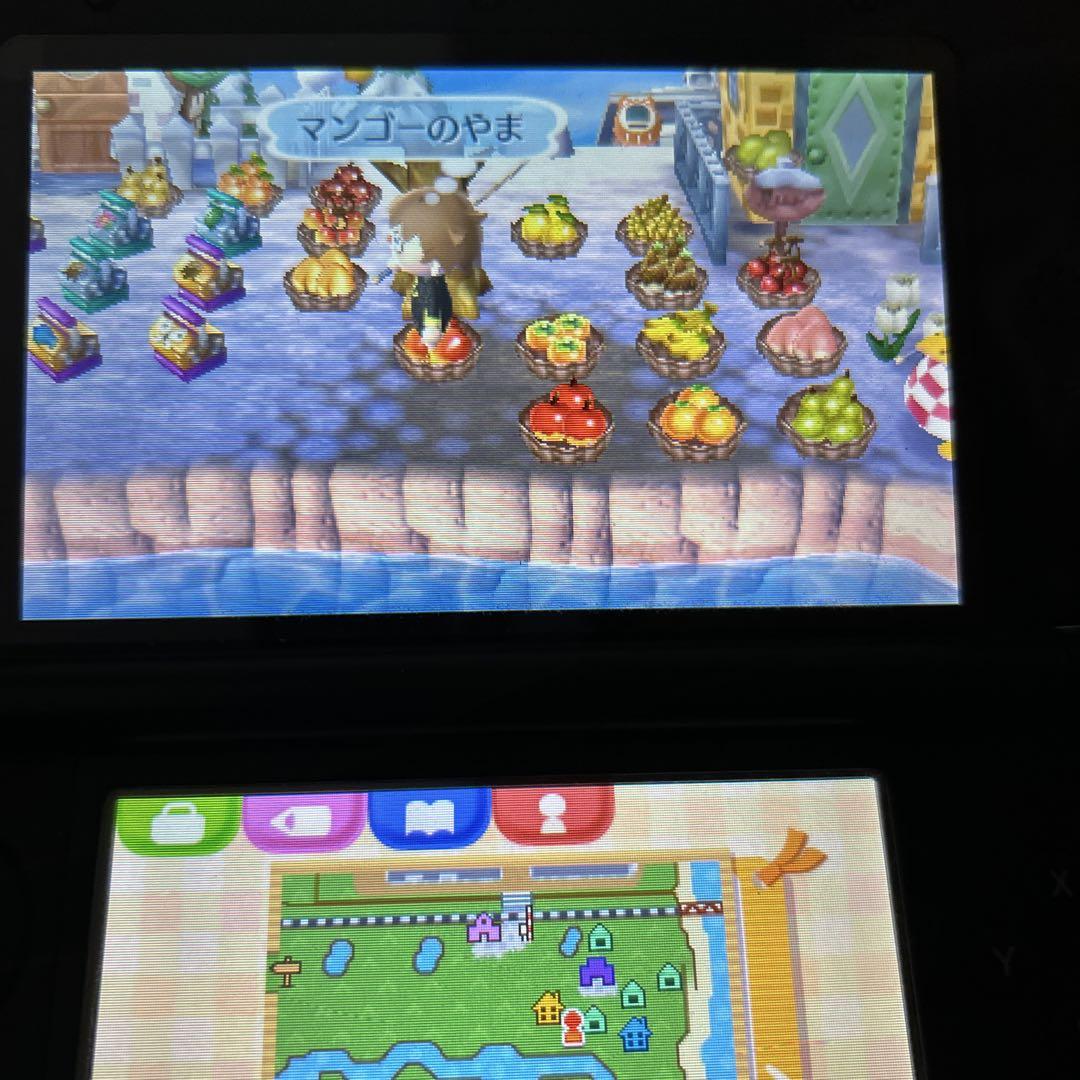 9無限増殖 とびだせどうぶつの森 神データコンプ 注文可能
