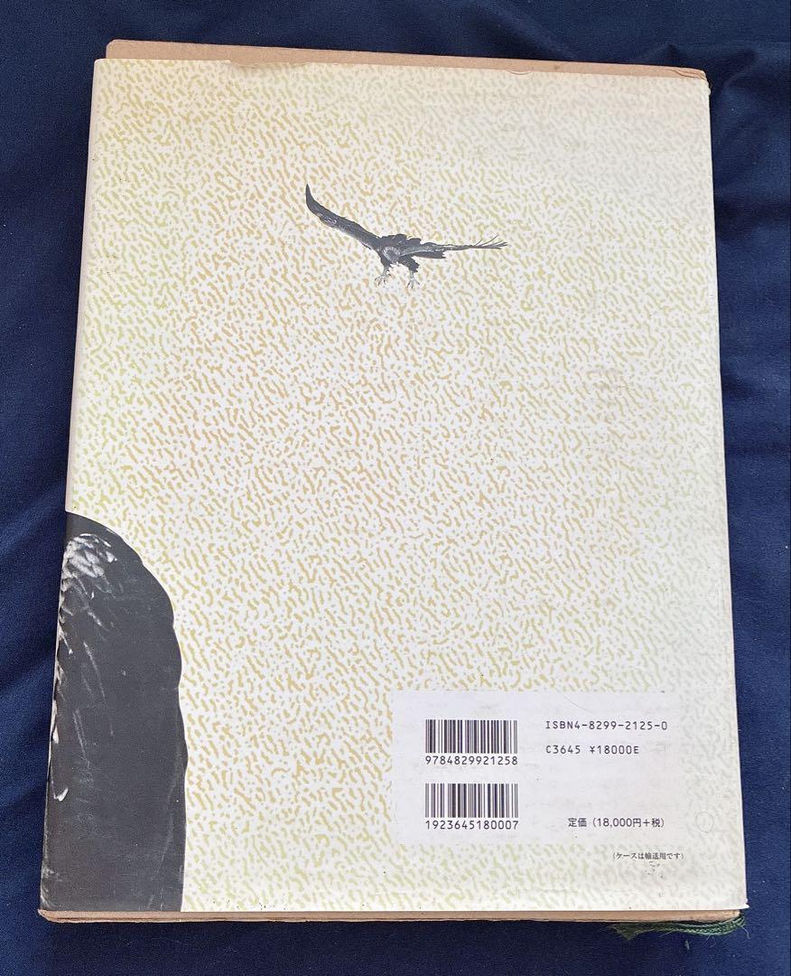 図鑑 日本のワシタカ類 文学・小説