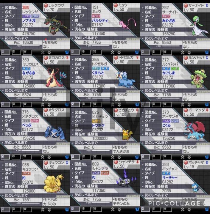 【ポケモン】ブラック2 配信 6vメタモン付き 道具完備 匿名配送