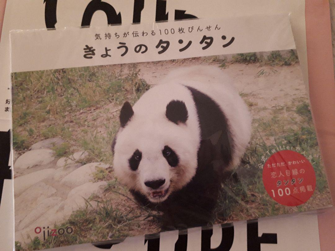 【FELISSIMO】100枚びんせん きようのタンタン