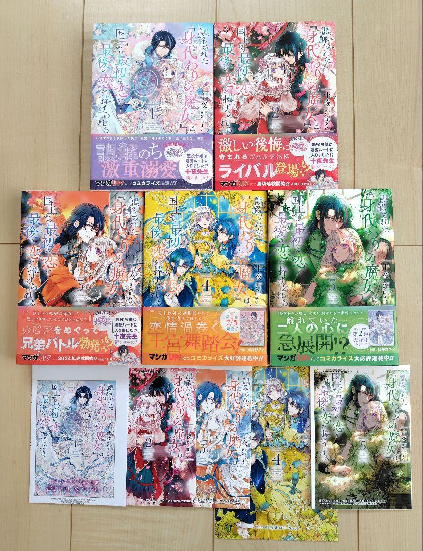 誤解された『身代わりの魔女』は、国王から最初の恋と最後の恋を捧げられる