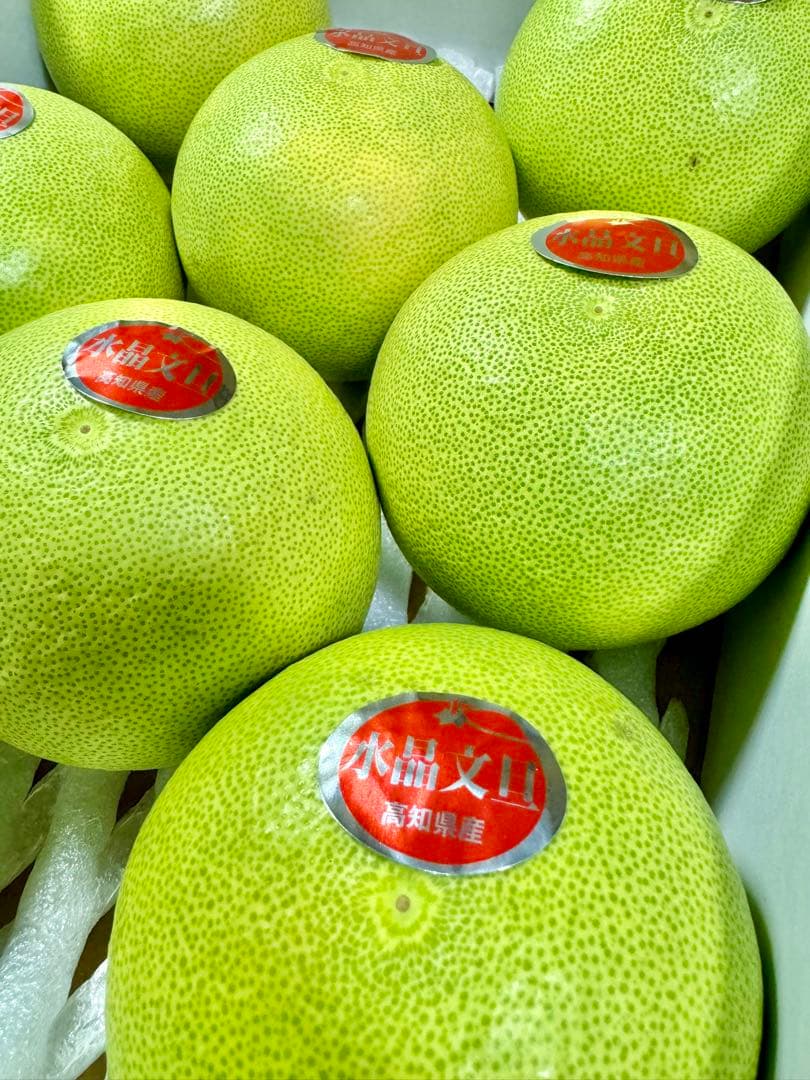 63高知特産 水晶文旦 8~6玉入 約3kg ×8箱 文旦 産地直送 送料無料 63高知特産 水晶文旦 8~6玉入 約3kg ×8箱 文旦 産地直送 送料無料